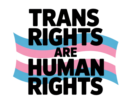 #272 - Trans Rights