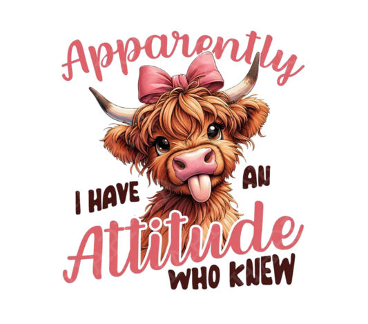 #56 - Attitude