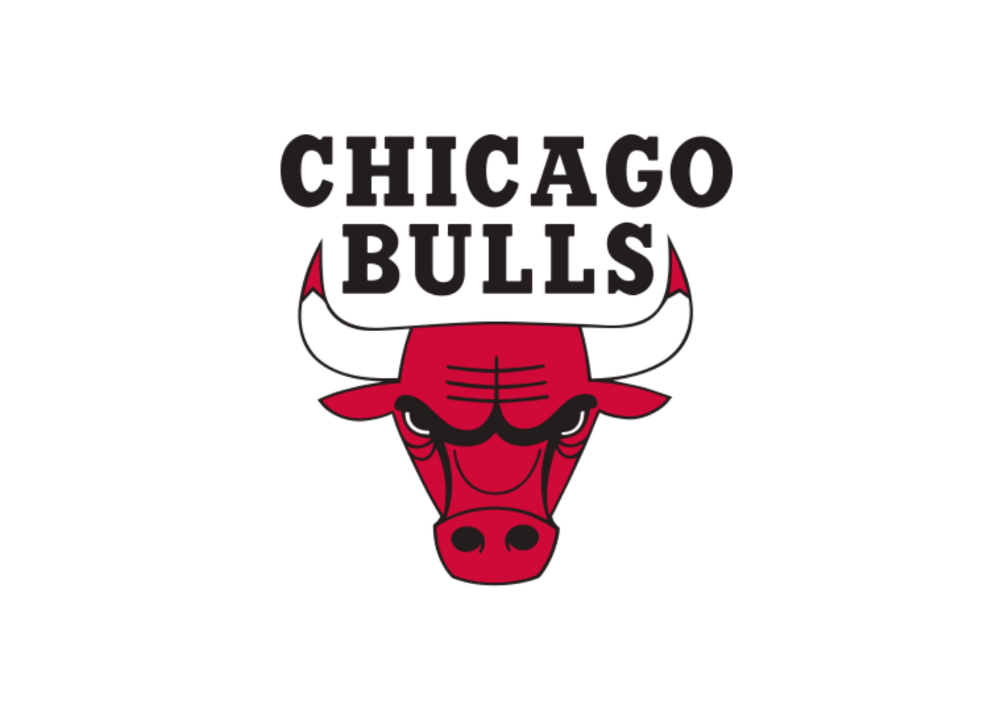 #95 - Bulls - DTF Transfer