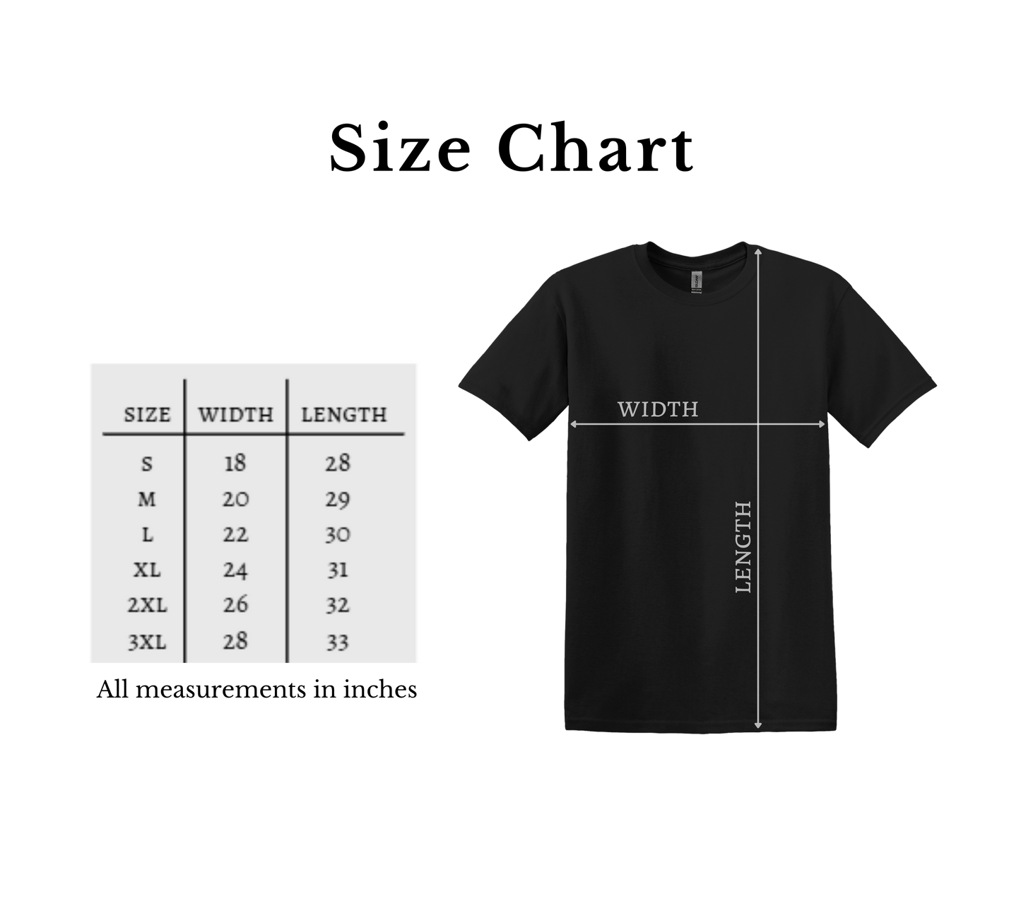 Adult Short Sleeve T-Shirts
