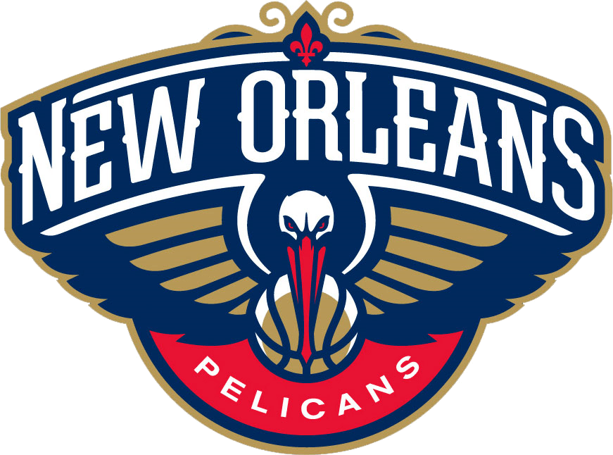 #119 - Pelicans - DTF Transfer