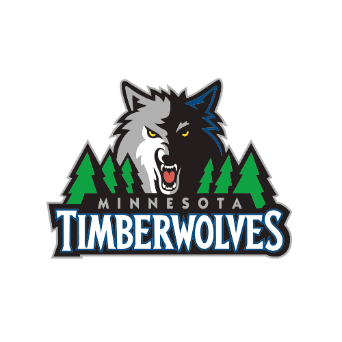 #120 - Timberwolves - DTF Transfer