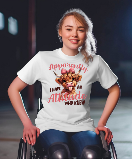 #56 - Attitude