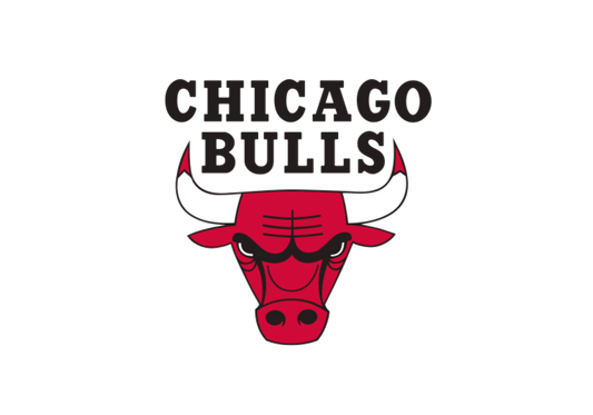 #95 - Bulls - DTF Transfer