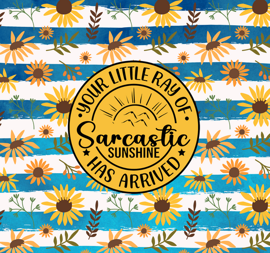 #91 - Sarcastic Sunshine