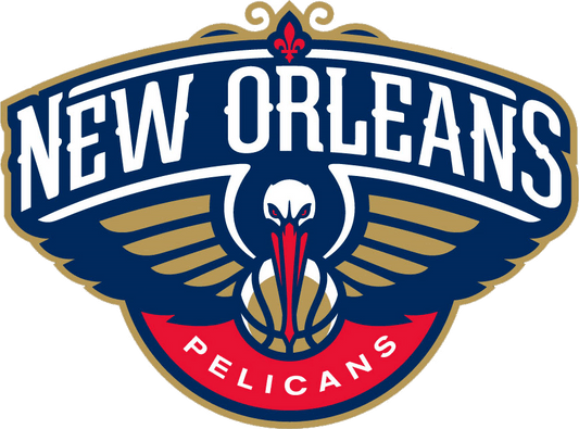 #119 - Pelicans - DTF Transfer