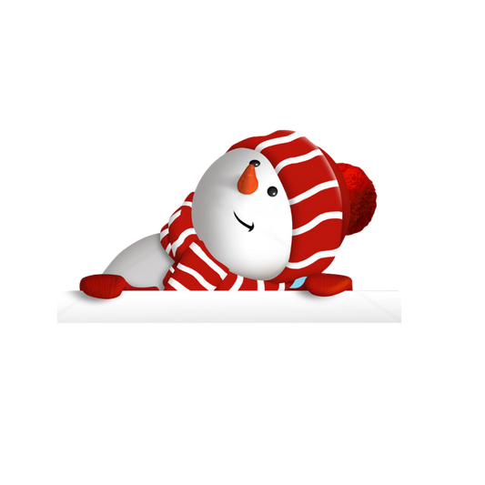#125 - Snowman - DTF Transfer