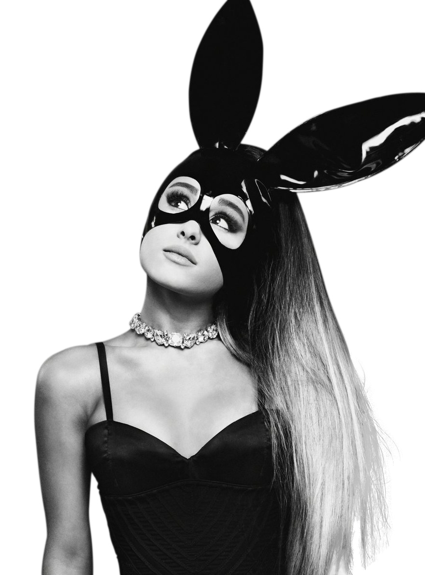 #182 - Ariana Grande - DTF Transfer
