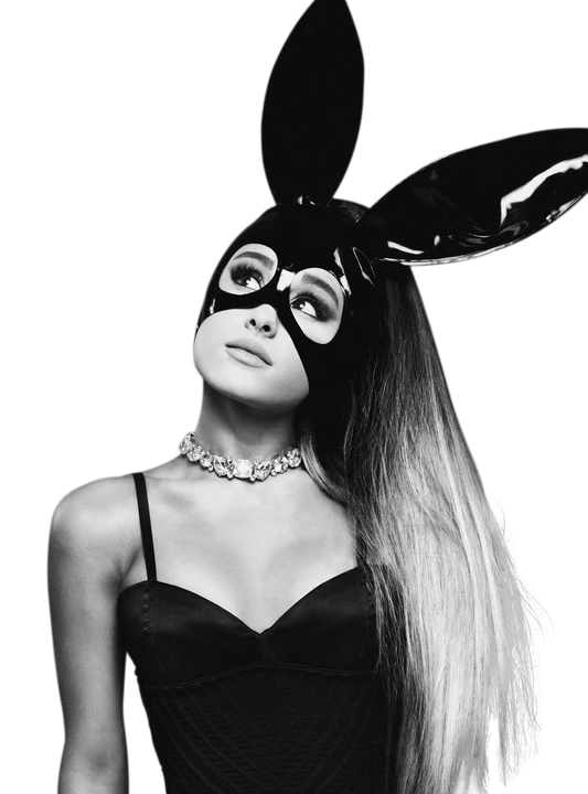 #182 - Ariana Grande - DTF Transfer